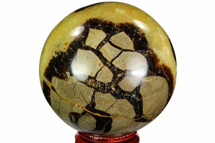 Polished Septarian Sphere - Madagascar #110661